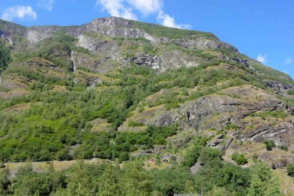 Ссылка на кракен в тор на сегодня